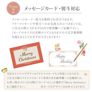 【予約品】シクラメン 香りのある花 セレナーデ...の詳細画像4