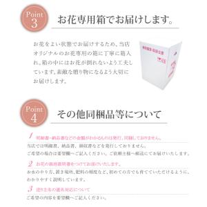 【予約品】シクラメン 香りのある花 セレナーデ...の詳細画像5