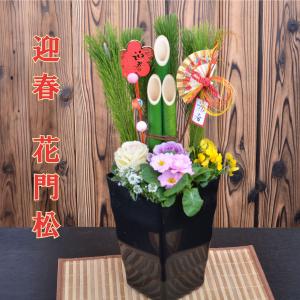 爆買 花門松 門松 迎春寄せ植え お正月アレンジ...の商品画像