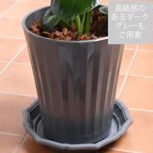 爆買 観葉植物 モンステラ 鉢植え 7号鉢 高...の詳細画像4