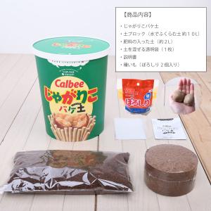 じゃがいも栽培 種芋セット カルビー じゃがり...の詳細画像1
