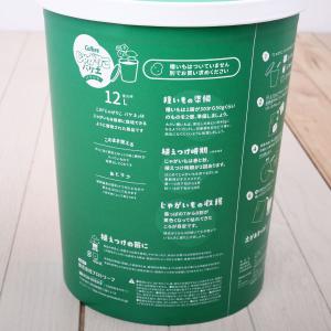 じゃがいも栽培 種芋セット カルビー じゃがり...の詳細画像2