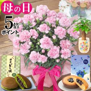 母の日 プレゼント 2026 花 カーネーション ラベンダー 鉢植え 5号 ギフト 選べる特典付き 吉本花城園 送料無料