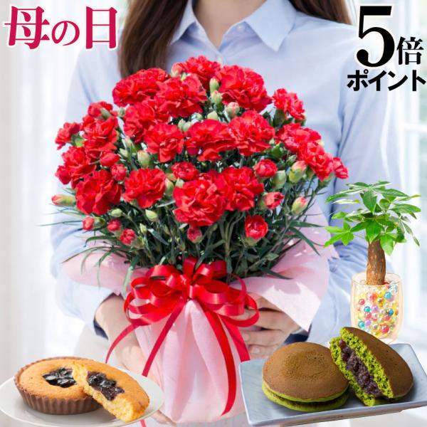 爆買 母の日 プレゼント 2026 花 カーネーション 赤 鉢植え 5号 定番 ギフト 選べる特典付...