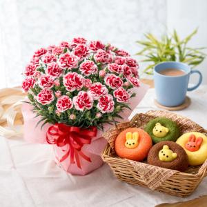 母の日 プレゼント 2026 花とスイーツ カーネーション いちごホイップ アニマルドーナッツ 焼き菓子 鉢植え