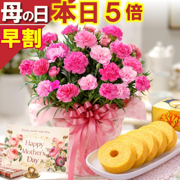 母の日 ギフト 2026 花とスイーツ カーネーション さくらもなか バウムクーヘン 鉢植え 60代...