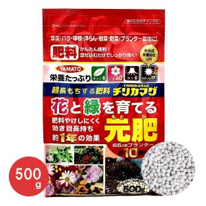 Fleurtown吉本花城園 バラ苗 Yahoo ショッピング