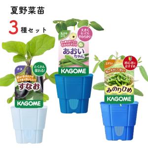 爆買 KAGOME カゴメの野菜苗 3号ポット 3種セット ナス オクラ エダマメ 枝豆 すなお あおいちゃん みのりひめ 野菜苗 家庭菜園 ベランダ菜園｜FleurTown吉本花城園