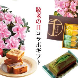 敬老の日 ギフト リンドウ 心美 白寿 4.5...の詳細画像2