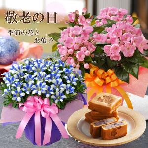 遅れてゴメンね！ 敬老の日 ギフト プレゼント 花とお菓子のセット 選べるお花 リンドウ におい桜 桐葉菓
