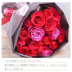 赤のバラの花束 生花 誕生日 御祝 プロポーズ 送料無料 司ガーデン