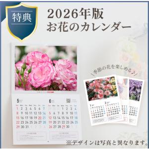 チューリップ 球根 福袋 25球セット 4品種...の詳細画像2