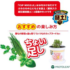 CUP NOO土L カップヌー土ル 土だけ 謎...の詳細画像1