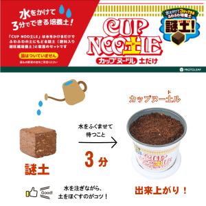 CUP NOO土L カップヌー土ル 土だけ 謎...の詳細画像2
