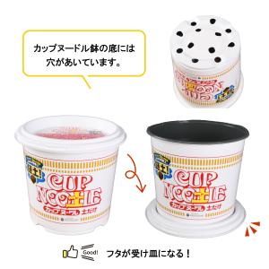 CUP NOO土L カップヌー土ル 土だけ 謎...の詳細画像3