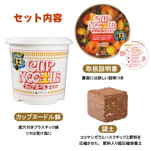 CUP NOO土L カップヌー土ル 土だけ 謎...の詳細画像4