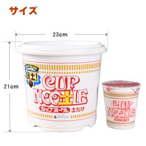 CUP NOO土L カップヌー土ル 土だけ 謎...の詳細画像5