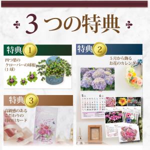 早割中 母の日 プレゼント バラ ソープフラワ...の詳細画像4