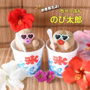 夏の かき氷 ちゃっぷん のび太郎 ハイドロカルチャー イタリアンライグラス おもしろ植物 ユニーク 芝人形 夏休み 自由研究 ギフト プレゼント