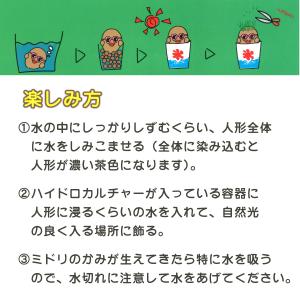 夏の かき氷 ちゃっぷん のび太郎 ハイドロカ...の詳細画像2