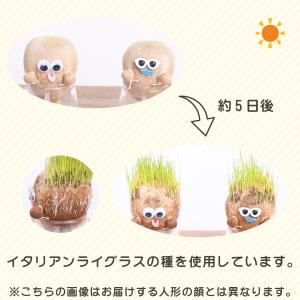 夏の かき氷 ちゃっぷん のび太郎 ハイドロカ...の詳細画像3