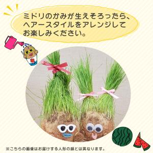 夏の かき氷 ちゃっぷん のび太郎 ハイドロカ...の詳細画像4