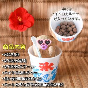 夏の かき氷 ちゃっぷん のび太郎 ハイドロカ...の詳細画像5