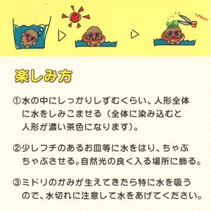 爆買 夏だよ! 浮き輪で ちゃぷちゃぷ ちゃっ...の詳細画像2