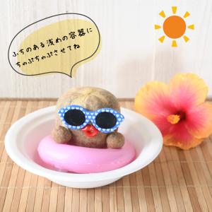 爆買 夏だよ! 浮き輪で ちゃぷちゃぷ ちゃっ...の詳細画像4