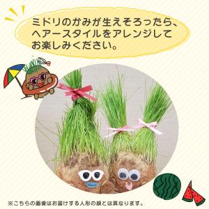 爆買 夏だよ! 浮き輪で ちゃぷちゃぷ ちゃっ...の詳細画像5