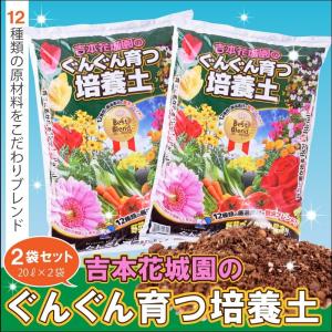 培養土 2袋セット 合計40リットル 吉本花城園のプロの培養土 花と野菜がぐんぐん育つ土 同梱不可