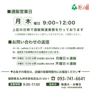 特選果樹苗 ★かぼすの詳細画像3