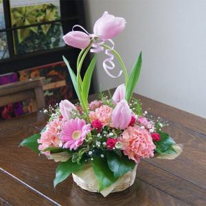 薔薇・百合・チューリップのフラワーアレンジメント限定1点 チューリップ フラワーアレンジメント 春待つバスケット : 花ギフト