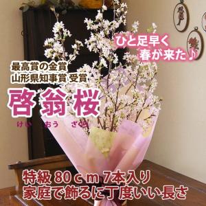 啓翁桜 桜 さくら 花束 80cm ホワイトデ...の詳細画像1