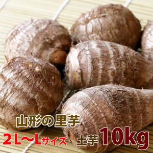 里芋 さといも 山形 送料無料 芋 土付き皮付き Ａ品 ２Ｌ?Ｌ 10kg 丸勘山形 さといも サトイモ とろとろ 山形 海老芋 粉 皮むき 冷凍 芋煮会  農産物円