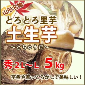 2026年7月】里いものおすすめ人気ランキング - Yahoo!ショッピング