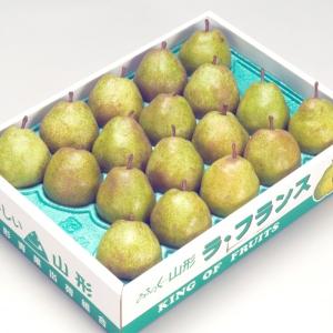 2026年 予約 洋梨 梨 送料無料 山形県産 ラフランス 秀２Ｌ ５ｋｇ入り １８玉 ラ フランス