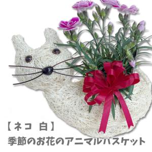 アニマルバスケット ネコ 白 母の日 父の日 2...の商品画像