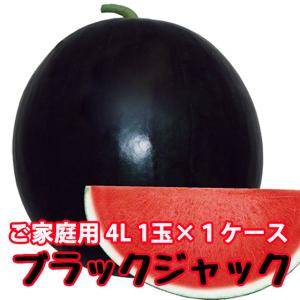 スイカ ブラックジャック 秀2L 7kg 2玉入り1ケース 黒皮 尾花沢スイカ