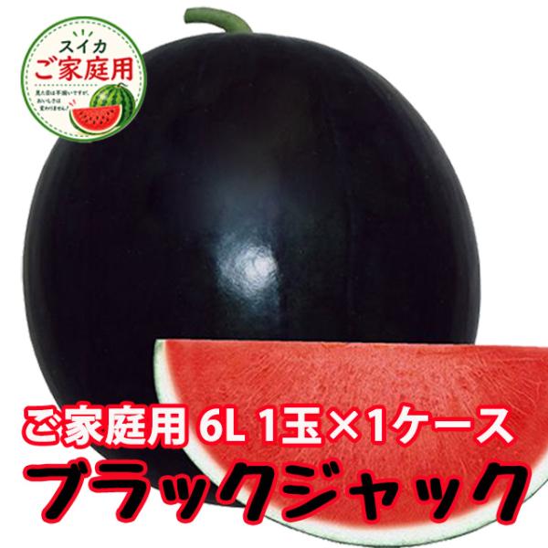 スイカ 尾花沢 種無しスイカ  ブラックジャック 訳あり6L 11kg 1個入り 1ケース 種なしス...
