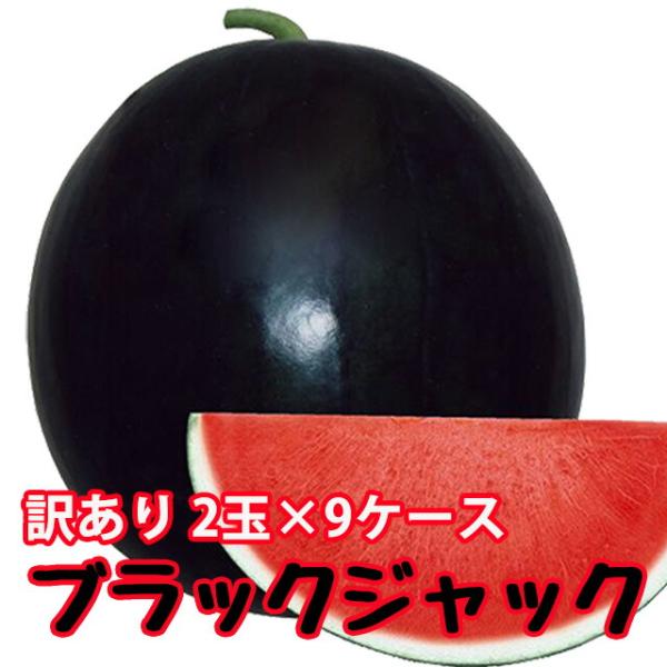 ブラックジャック スイカ 種無しスイカ 種なしスイカ 訳あり ご家庭用 1玉入 ９ケース 黒皮 尾花...