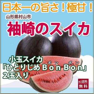 スイカ 小玉スイカ ひとりじめ ボンボン 秀２Ｌ ２玉