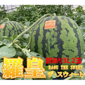 スイカ 大玉 熊本 送料無料 2玉セット 1玉あたり2L (約7〜8kg) 種あり