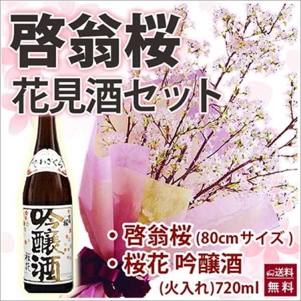 啓翁桜 花見酒セット 80cm 飾りやすいサイズ 出羽桜酒造 花言葉 切り花 山形 鉢植え 花束 啓...