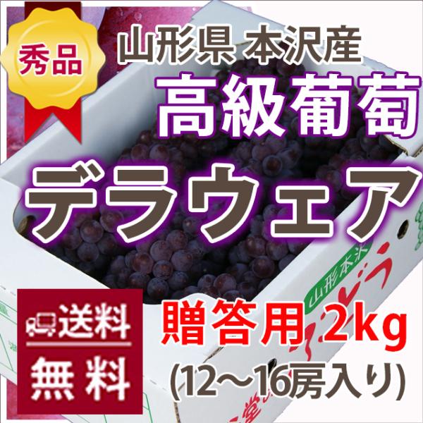 ブドウ デラウェア 送料無料 葡萄 お中元 ぶどう 贈答用 山形市 本沢産 葡萄 ハウスデラウェア ...