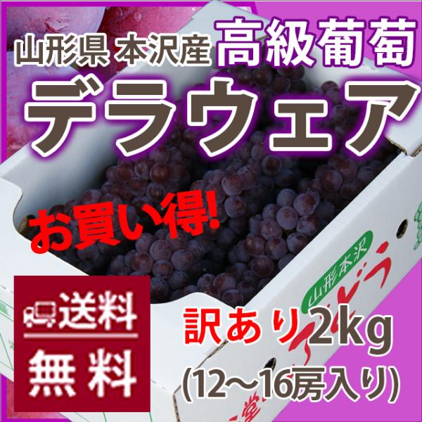 ブドウ デラウェア 葡萄 お中元 ぶどう ご家庭用 山形市 本沢産　葡萄 ハウスデラウェア 訳あり ...