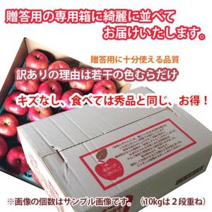 りんご リンゴ ジョナゴールド 5kg 訳あり...の詳細画像1