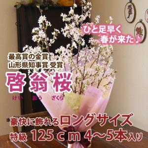 啓翁桜 桜 さくら 花束 120cm ホワイトデ...の商品画像