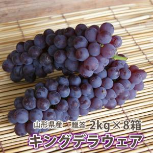 ぶどう 葡萄 ブドウ 秀 贈答 キングデラ ２kg ５〜７房入り ８箱 山形市本沢産 キングお中元 ギフト 果物 高級 種無し 敬老の日 農産物｜花ギフト山形産果物野菜花樹有