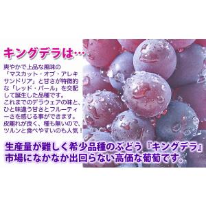 ぶどう 葡萄 ブドウ 秀 贈答 キングデラ 2...の詳細画像3